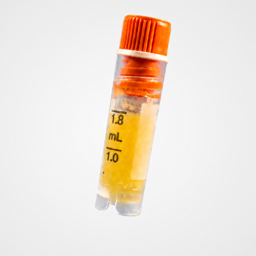 Lipoderma 1.5cc Vial