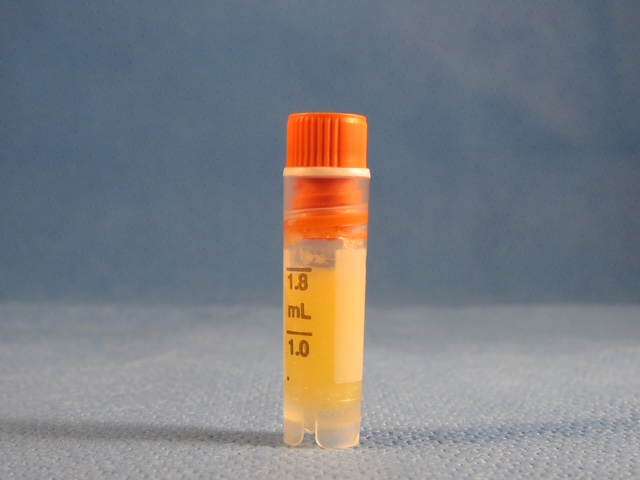 Lipoderma 1.5cc Vial - Image 3
